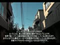 11/11 gang stalking targeted individual 集団ストーカー