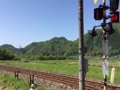 若桜鉄道　”八頭号”と”隼号”の連結