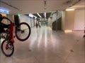 難波駅の地下街を暴走する大阪の自転車暴走族