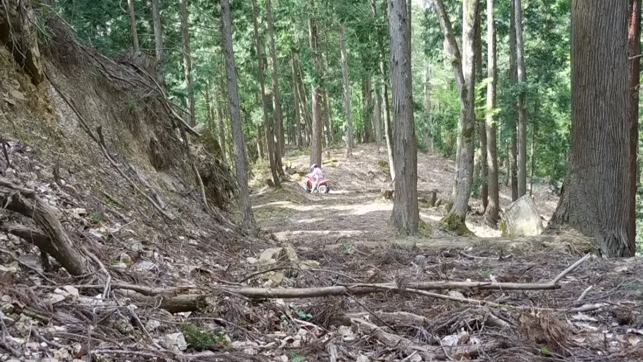 兵庫県村岡　鹿田林道　バギーで攻める