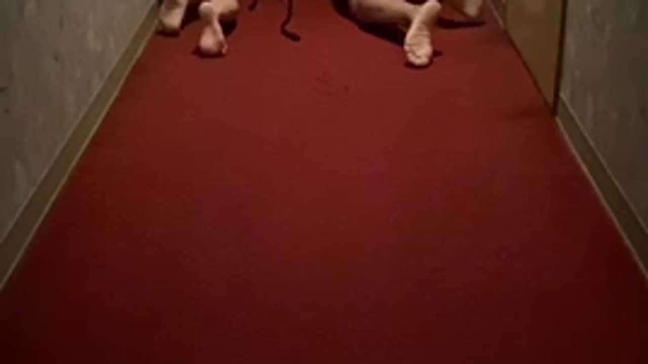 M♂&M♀調教